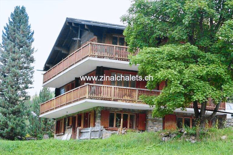 Appartement Zinal