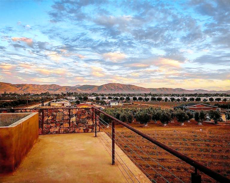 Hotel Los Amantes Valle de Guadalupe — photo 3