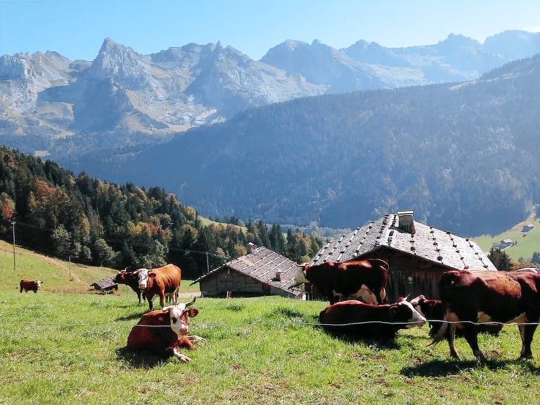 Chalet Le Chinaillon