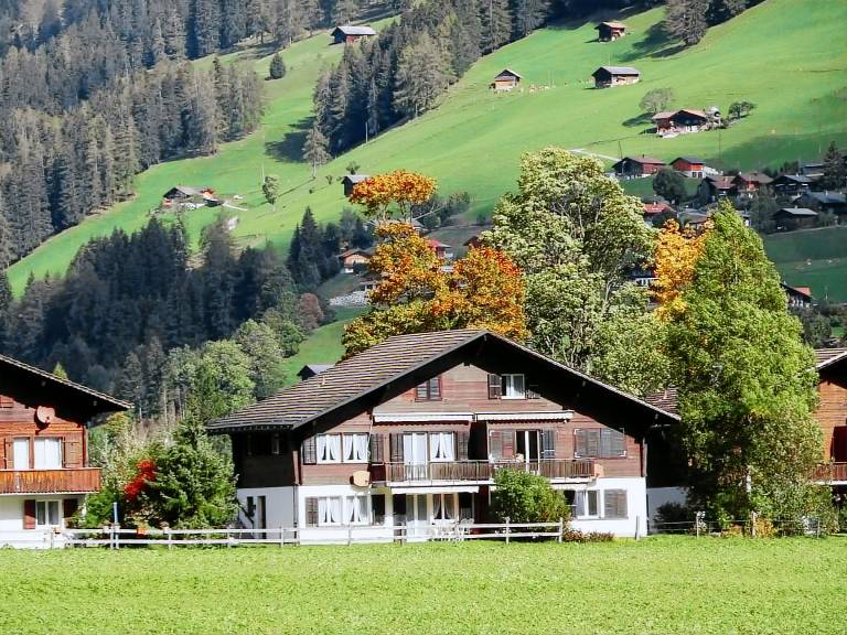 Bild zu 14793db416223b614b2011f861d3f90e