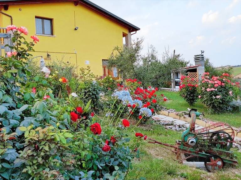 La Stradaccia: Pesco — photo 3