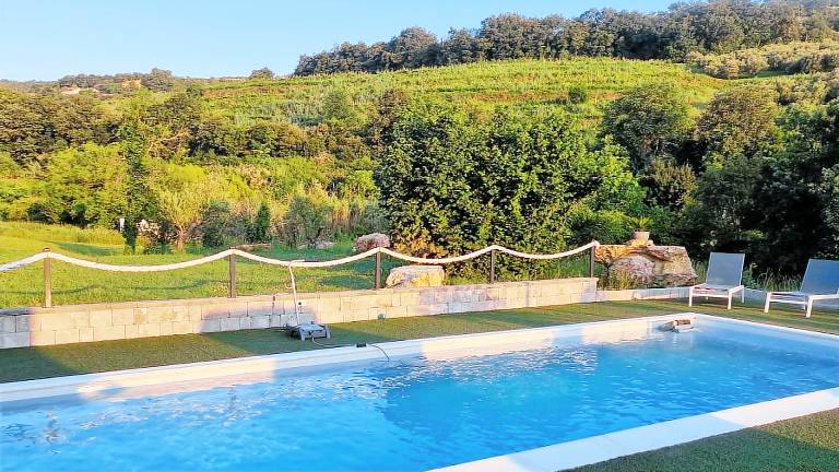 Apartma  Spodnje Škofije