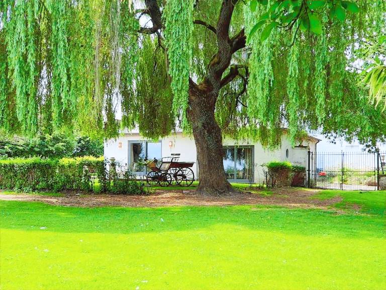 Accommodatie Brugelette