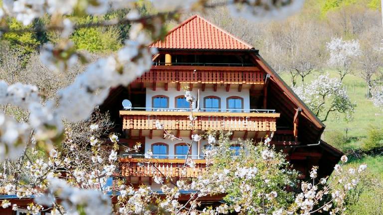 Ferienwohnung mit Hund in Bad Peterstal-Griesbach f&uuml;r max. 3 Personen