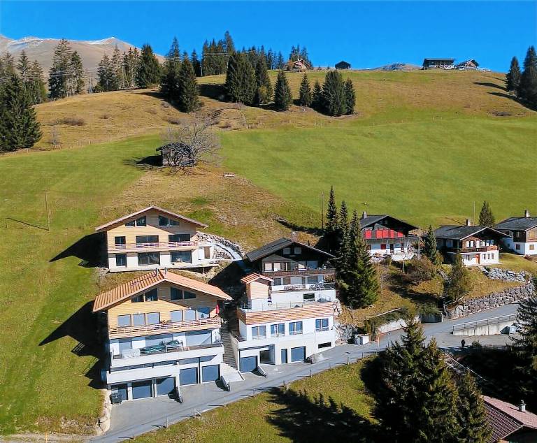 Huis Lenk