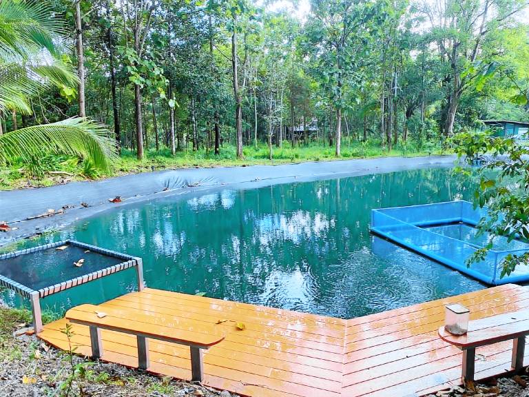 Vacation home with yard | Suitable for remote work | Dogs allowed — photo 4