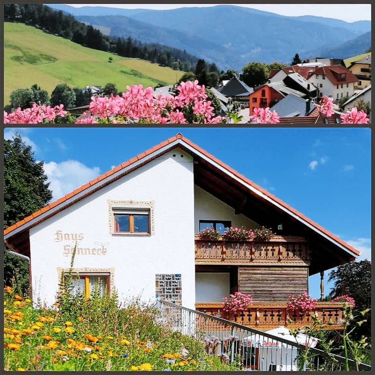 Ferienwohnung  Todtnauberg