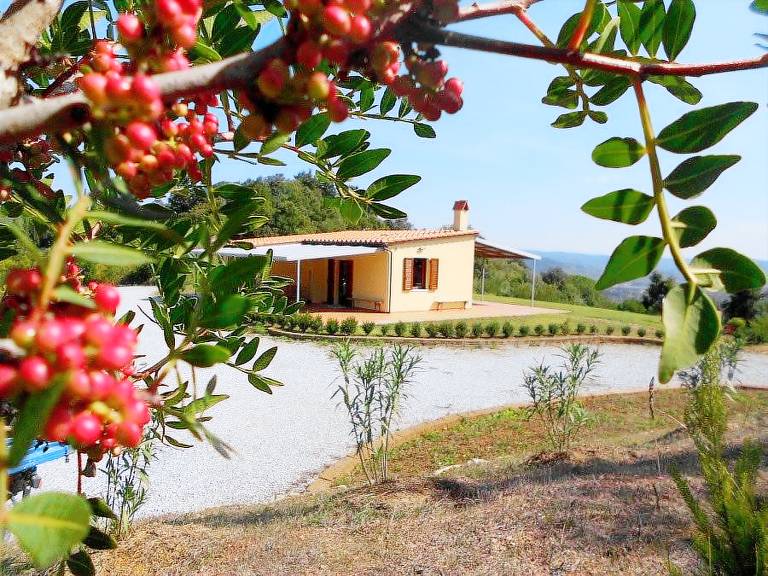 Casale Suvereto