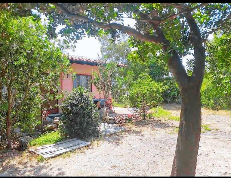  with dog in Marrubiu, South Sardinia for amaximum of 2 people