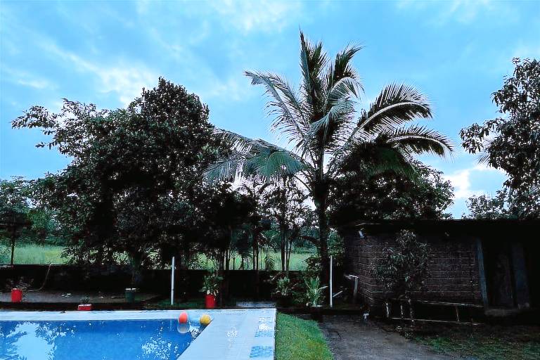 Surve Natures Resort — photo 4