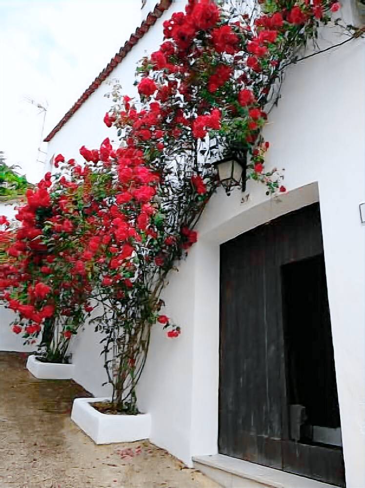 Casa  Fuenteheridos