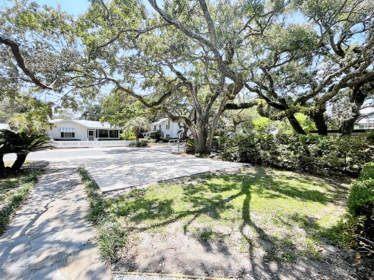 Tree Spirit Retreat - 4310 3rd Street — photo 3