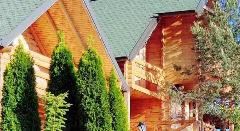 Brvnare Bor in Zlatibor