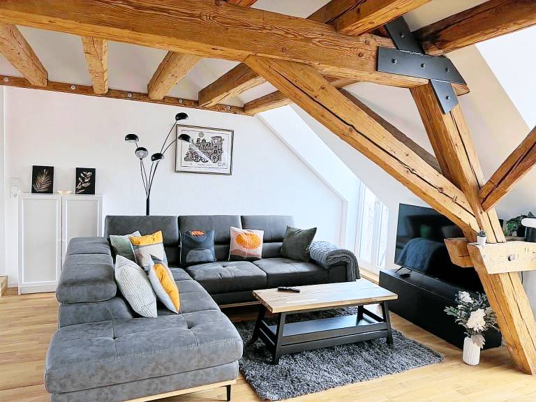 Schloss Espasingen Apartment 2 - Penthouse-Apartment im historischen Schloss in Konstanz