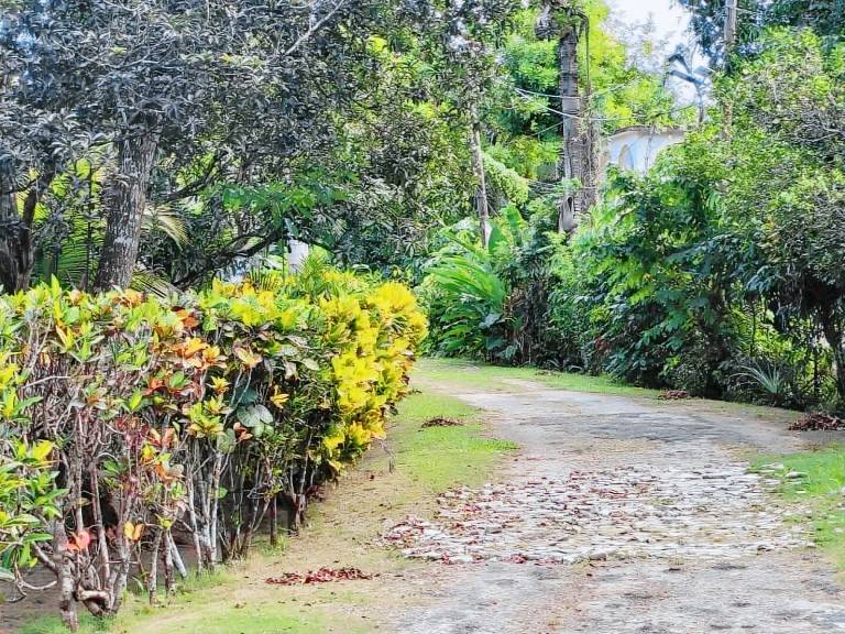 Apartment Negril