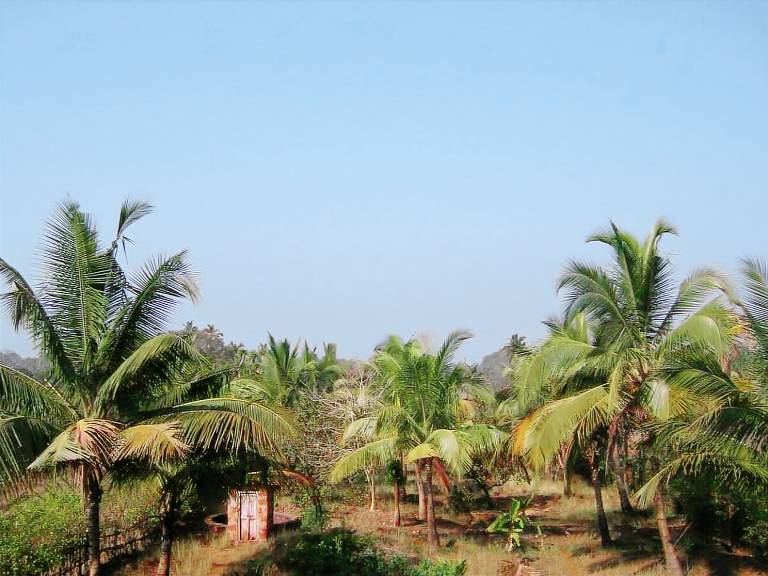 foto5