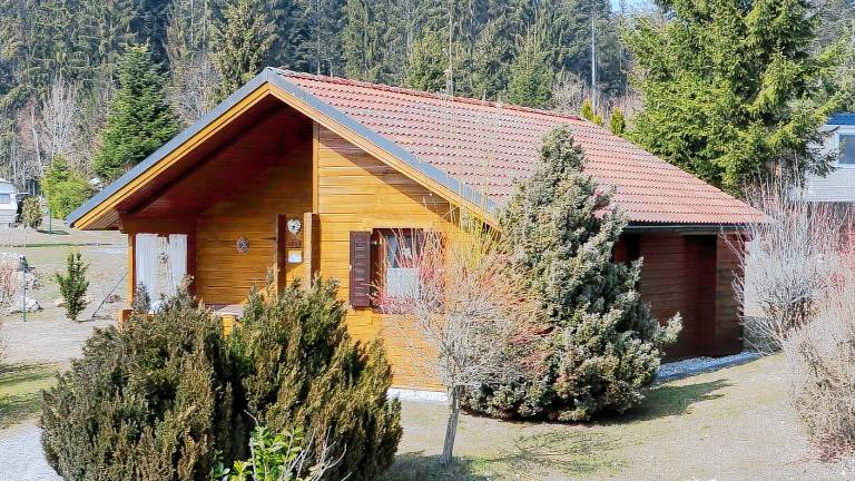 Ferienhaus  Viechtach