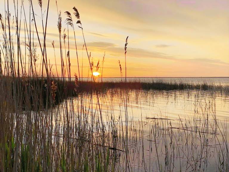 House Wendisch Langendorf