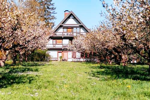 Bed and breakfast  Waltershofen
