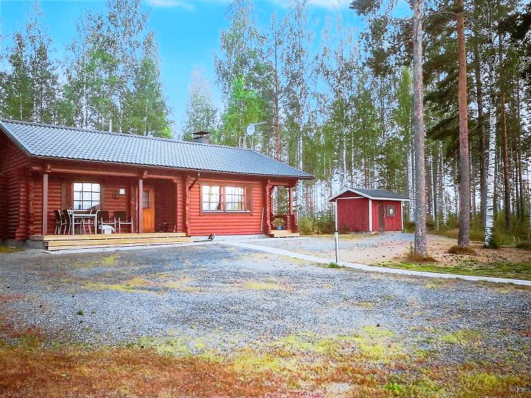 Ferienhaus Pertunmaa