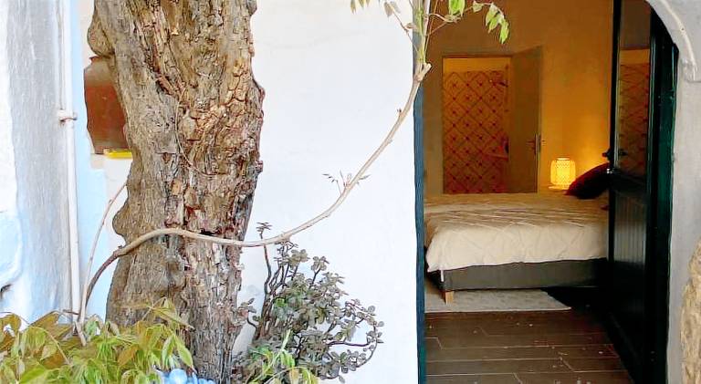 Casa Pereirinha — photo 5