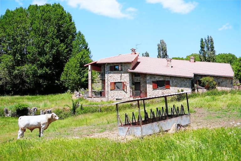 Chalet  Pedro Bernardo