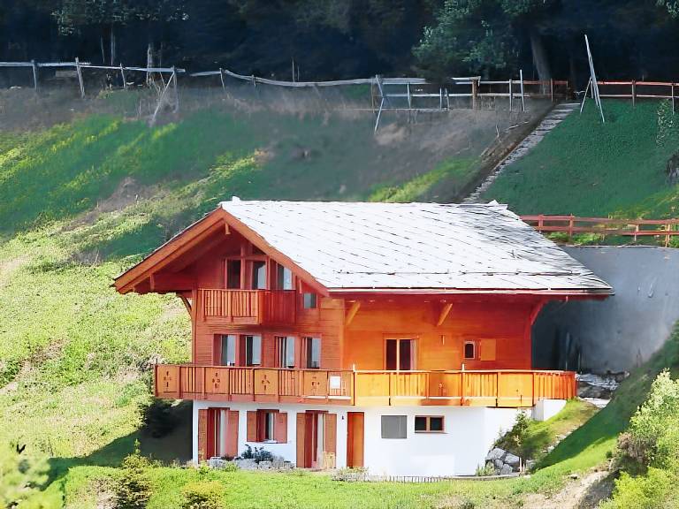 Chalet with 4 rooms for 9 persons in Veysonnaz