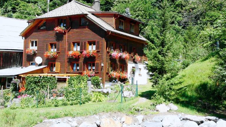 Ferienwohnung Dalaas