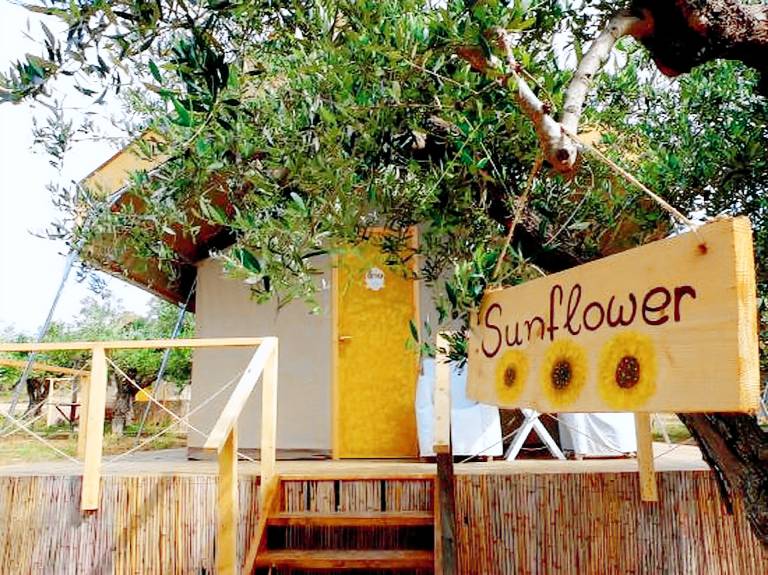 Fully-Furnished Luxury Tents on Olive Grove in Messenia Region of Greece — photo 3