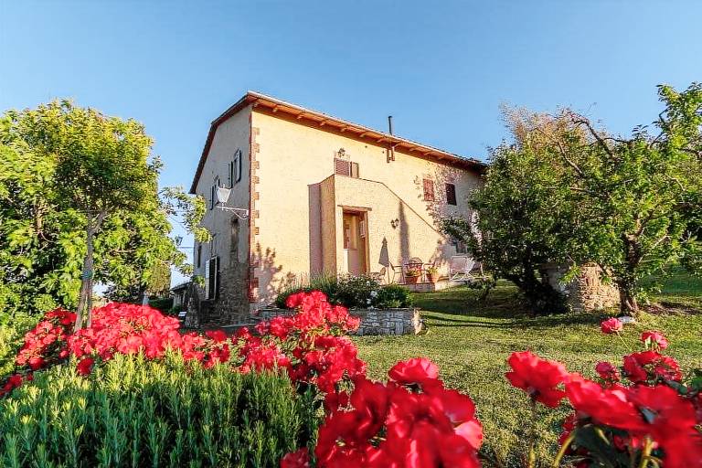 foto3