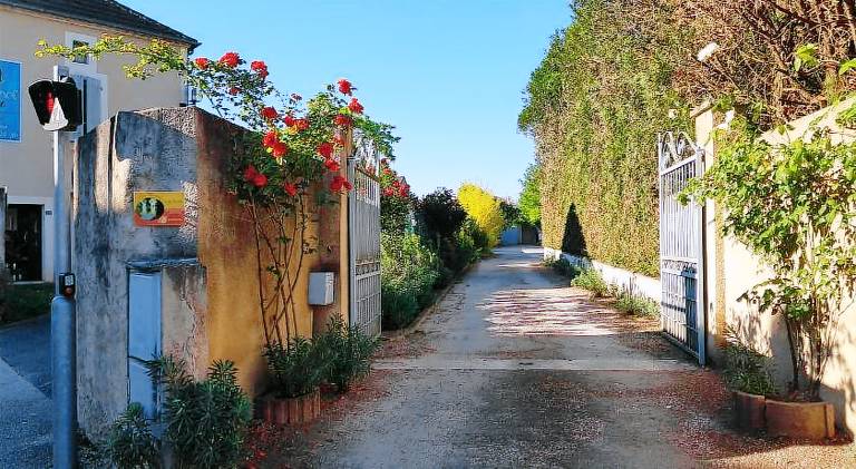 Lovely vacation home | Pets allowed — photo 3