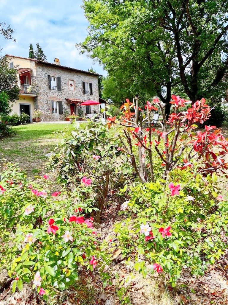 Ferienhaus Lamporecchio