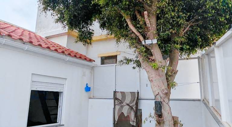 Vacation home with garden & patio | Pets are welcome — photo 4