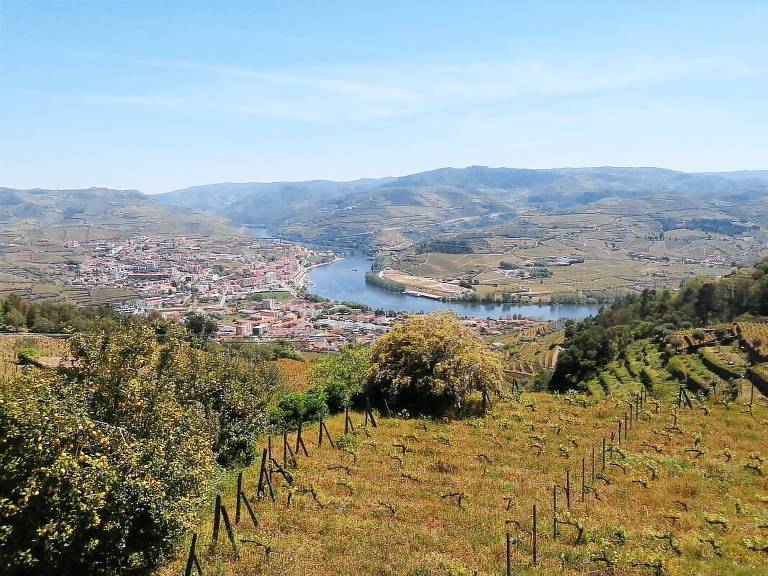 foto1