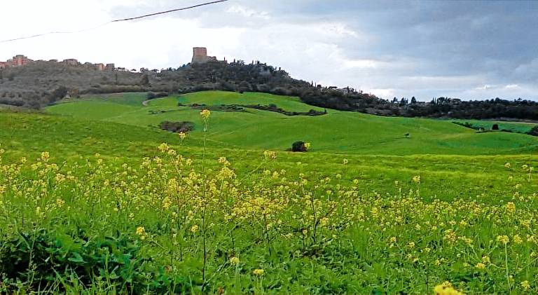 Vacation home | Pets are welcome in Castiglione d'Orcia