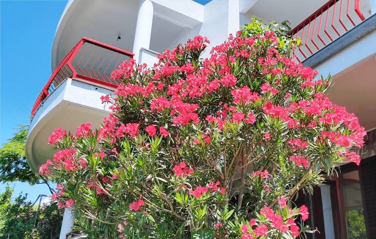 Rental apartment with barbeque, garden & terrace — photo 5