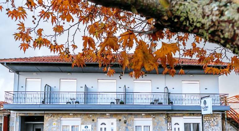 Serviced apartment with patio | Dogs allowed — photo 4