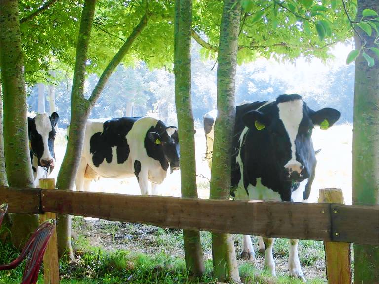 Ferienhaus in Wangerland, Wiarden für max. 7 Personen