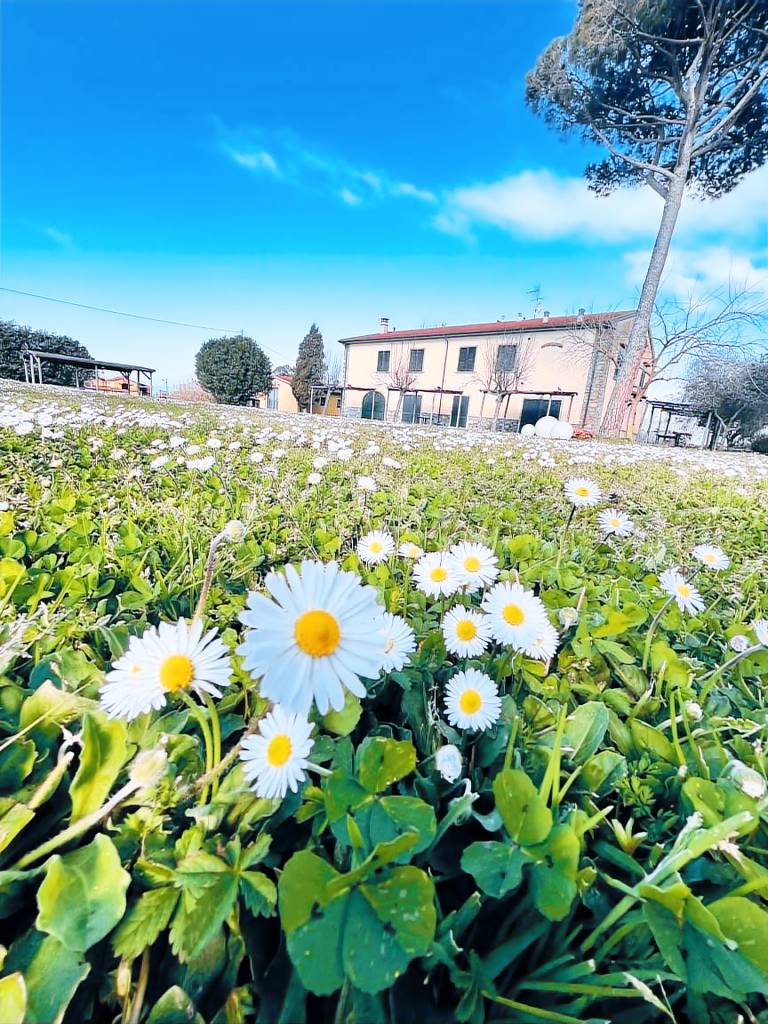 Agriturismo Il Bosco: Appartamento verde piano terra — photo 2