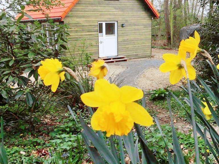 Ferienhaus  Worpswede