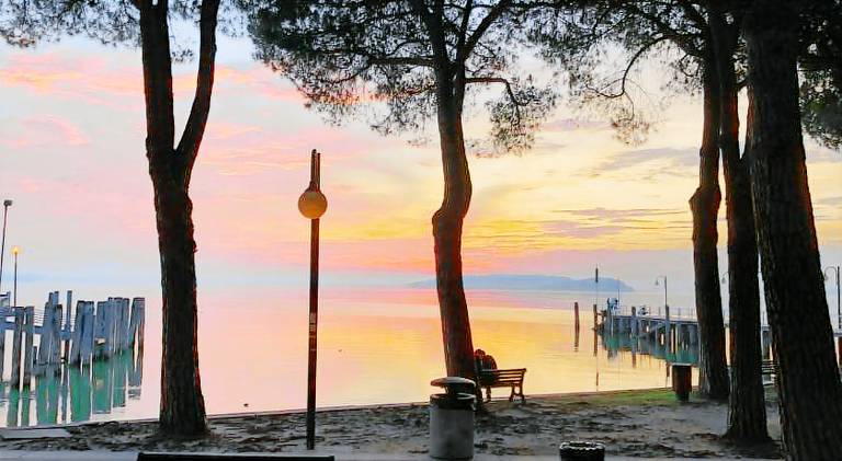 Wonderful holiday apartment | Good for workation | Pets are welcome in Passignano sul Trasimeno