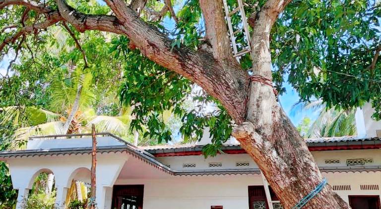 The White House in Trincomalee