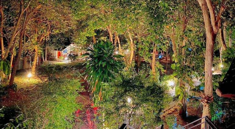 PawPaw Resort — photo 3