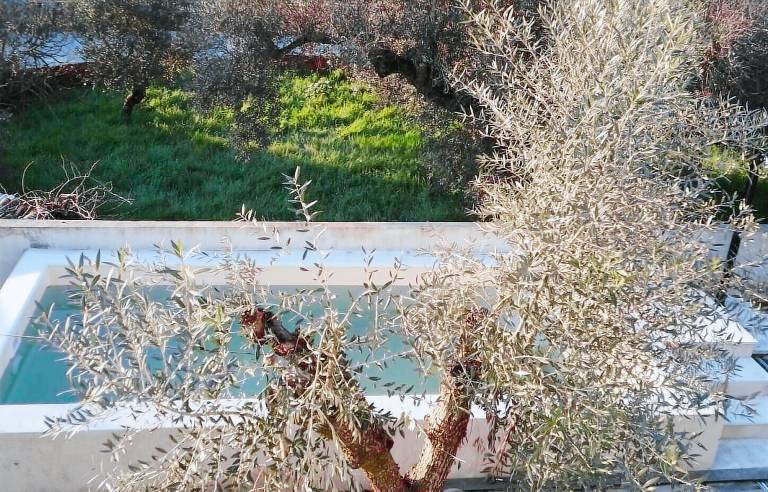 Casa Monsanto