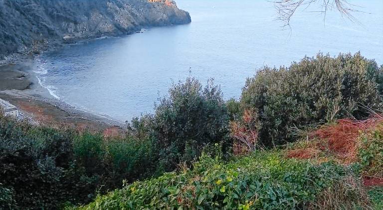 Rental apartment with 1 room for 2 persons in Piombino