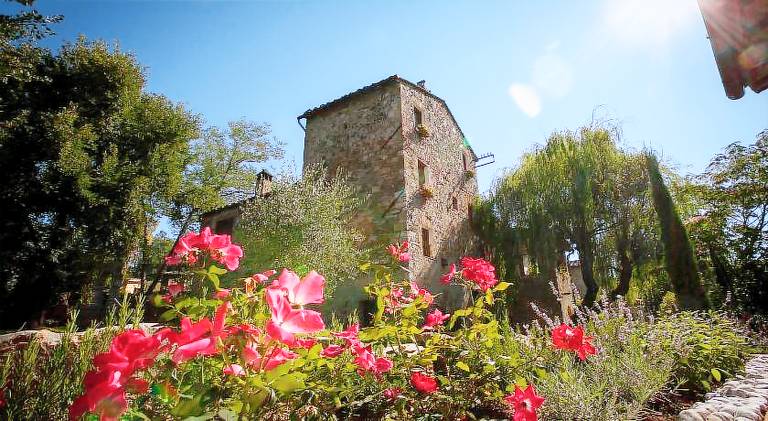 Charming apartment with pool & yard | Dogs allowed in Gaiole in Chianti