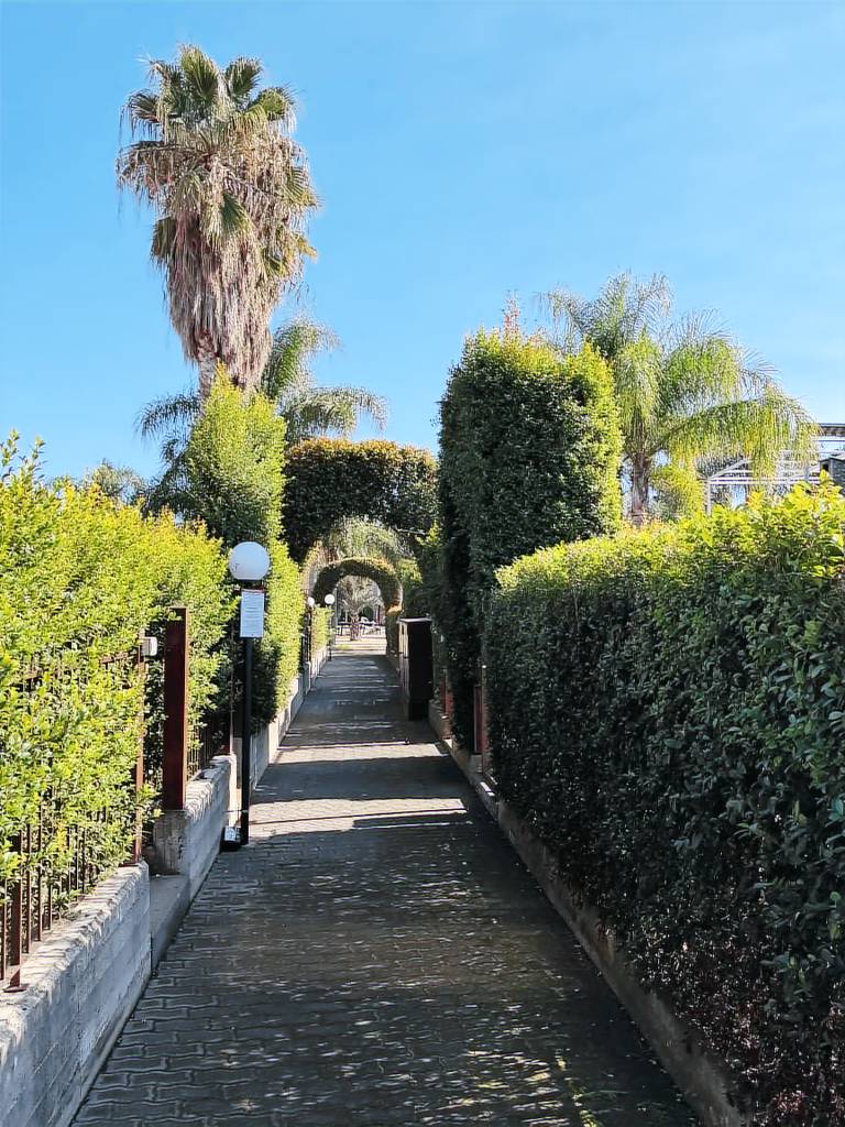 Child-friendly rental apartment with pool, yard & grill | Nature view | Next to the beach | Pets are welcome — photo 5