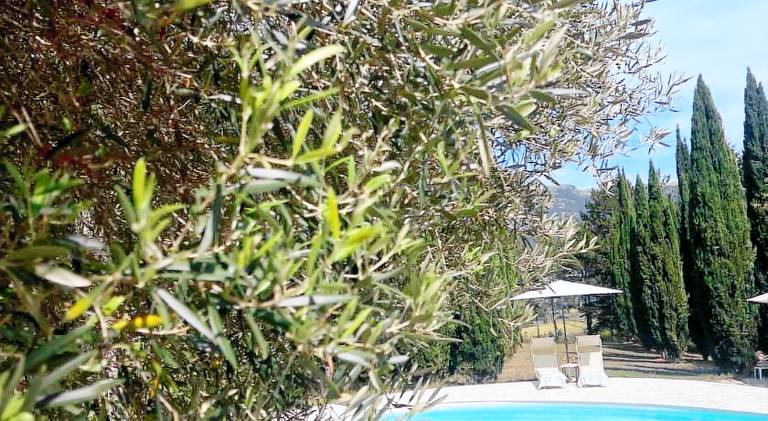 Serviced apartment with yard, terrace & pool | Dogs allowed in Gubbio