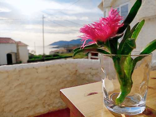 Appartement El Port de la Selva