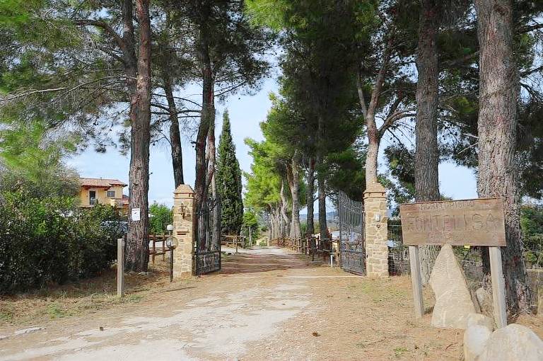 Agriturismo Fontelisa: Appartamento "Il Cinghiale" — photo 5